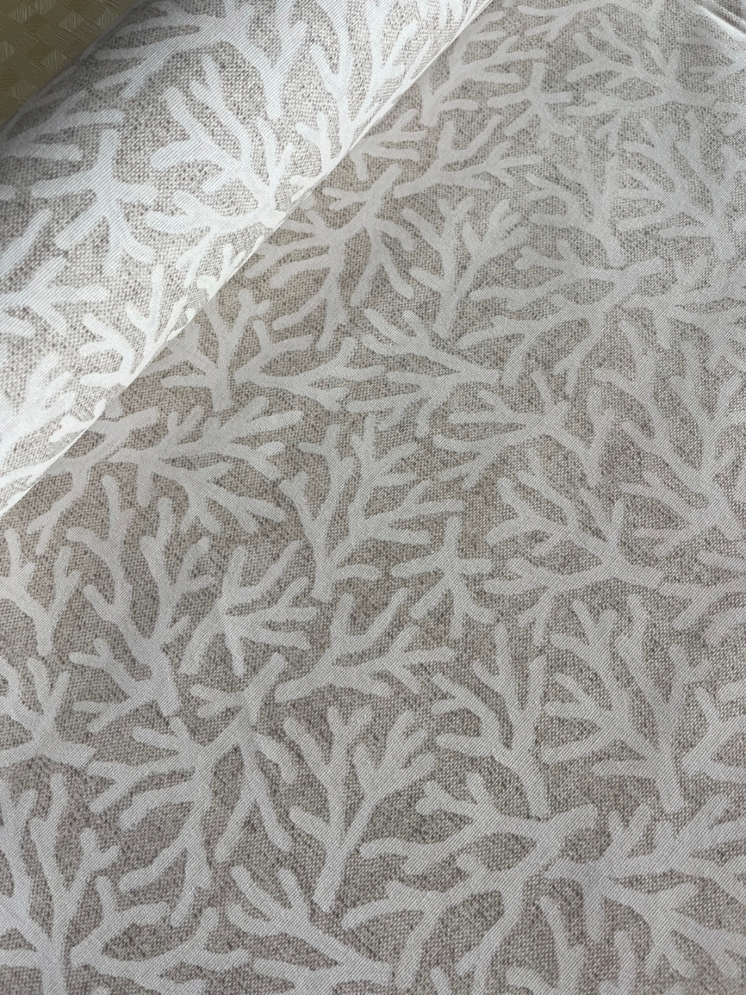 Medidas Especiales(Resinadas) - Algas Beige